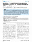 Rho GTPase Cdc42 is a direct interacting partner of Adenomatous Polyposis Coli protein and can alter its cellular localization Cover Page