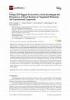 Using GFP-Tagged Escherichia coli to Investigate the Persistence of Fecal Bacteria in Vegetated Wetlands: An Experimental Approach Cover Page