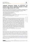 Antibiotic Resistance Profile of Escherichia coli Isolated from Bovine Subclinical Mastitis of Dairy Farms in Algeria from 2017 to 2019 Cover Page