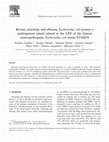 Research paper thumbnail of Bovine attaching and effacing Escherichia coli possess a pathogenesis island related to the LEE of the human enteropathogenic Escherichia coli strain E2348/69