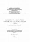 Rabies virus replication outside the central nervous system - Implications for disease transmission Cover Page