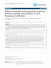 Different chromatin and energy/redox responses of mouse morulae and blastocysts to slow freezing and vitrification Cover Page