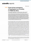 Strain driven emergence of topological non-triviality in YPdBi thin films Cover Page