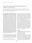 Cell survival or death in renal tubular epithelium after ischemia-reperfusion injury Cover Page