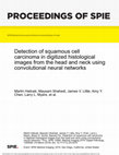 Detection of squamous cell carcinoma in digitized histological images from the head and neck using convolutional neural networks Cover Page