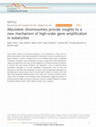 Macrotene chromosomes provide insights to a new mechanism of high-order gene amplification in eukaryotes Cover Page