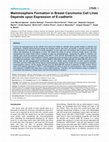 Mammosphere Formation in Breast Carcinoma Cell Lines Depends upon Expression of E-cadherin Cover Page