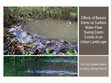 Effects of Beaver Dams on Surface Water Flow During Storm Events in an Urban Landscape Cover Page