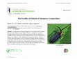 The Fireflies of Ontario (Coleoptera: Lampyridae) Cover Page