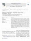 DGKζ is degraded through the cytoplasmic ubiquitin–proteasome system under excitotoxic conditions, which causes neuronal apoptosis because of aberrant cell cycle reentry Cover Page