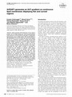 ArfGAP1 generates an Arf1 gradient on continuous lipid membranes displaying flat and curved regions Cover Page