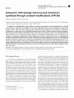 Eukaryotic DNA damage tolerance and translesion synthesis through covalent modifications of PCNA Cover Page