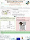 Sporadic Occurrence of the Grapevine Trunk Disease Pathogen Diplodia Mutila in the Tokaj Wine Region, Hungary Cover Page