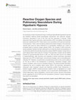 Reactive Oxygen Species and Pulmonary Vasculature During Hypobaric Hypoxia Cover Page