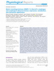 Matrix metalloproteinase (MMP)-7 in Barrett's esophagus and esophageal adenocarcinoma: expression, metabolism, and functional significance Cover Page