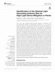 Research paper thumbnail of Identification of the Optimal Light Harvesting Antenna Size for High-Light Stress Mitigation in Plants