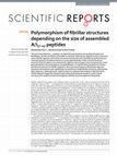 Polymorphism of fibrillar structures depending on the size of assembled Aβ17-42 peptides Cover Page