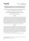 Pathogenicity of Botryodiplodia theobromae on Sandalwood Stems and Its in Vitro Inhibition by Trichoderma spp Cover Page