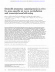 Dnmt3b promotes tumorigenesis in vivo by gene-specific de novo methylation and transcriptional silencing Cover Page