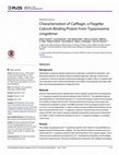 Characterization of Calflagin, a Flagellar Calcium-Binding Protein from Trypanosoma congolense Cover Page