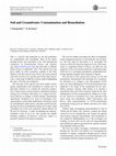 Soil and Groundwater Contamination and Remediation Cover Page