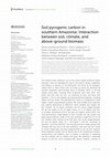 Soil pyrogenic carbon in southern Amazonia: Interaction between soil, climate, and above-ground biomass Cover Page