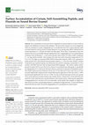 Surface Accumulation of Cerium, Self-Assembling Peptide, and Fluoride on Sound Bovine Enamel Cover Page