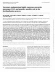 Secretory endometrium highly expresses urocortin messenger RNA and peptide: possible role in the decidualization process Cover Page