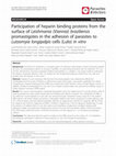 Research paper thumbnail of Participation of heparin binding proteins from the surface of Leishmania (Viannia) braziliensis promastigotes in the adhesion of parasites to Lutzomyia longipalpis cells (Lulo) in vitro