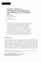 Multiple sense of community: The experience and meaning of community Cover Page