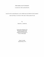 Research paper thumbnail of Places, Pots, and Kurgans: Late Copper Age Patterns of Settlement and Material Culture on the Great Hungarian Plain