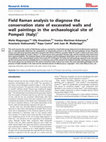 Field Raman analysis to diagnose the conservation state of Cover Page