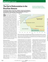 Research paper thumbnail of The End of Deforestation in the Brazilian Amazon