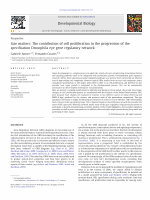 cell proliferation is needed for progression of spedification in the drosophila eye gene regulatory network Cover Page