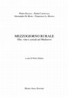 Vite e Vino nel Mezzogiorno medievale Cover Page