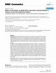 Research paper thumbnail of Effect of starvation on global gene expression and proteolysis in rainbow trout (Oncorhynchus mykiss