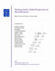 Thinking Small: Global Perspectives on Microlithization.  Cover Page