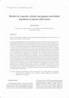 Models for evaporite, selenite and gypsum microbialite deposition in ancient saline basins Cover Page