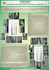 Research paper thumbnail of Two Mesolithic bone harpoon heads form site Wiele 33, central Poland