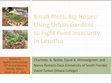 Research paper thumbnail of Small Plots, Big Hopes: Using Urban Gardens to Fight Food Insecurity in Lesotho. 