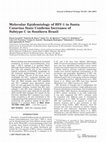 Molecular epidemiology of HIV1 in Santa Catarina State confirms increases of subtype C in Southern Brazil Cover Page