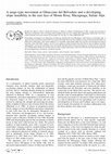 Research paper thumbnail of A surge-type movement at Ghiacciaio del Belvedere and a developing slope instability in the east face of Monte Rosa, Macugnaga, Italian Alps