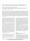 Research paper thumbnail of fhy3-1 Retains Inductive Responses of Phytochrome A