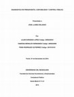 Research paper thumbnail of DIAGNOSTICO EN PRESUPUESTO, CONTABILIDAD Y CONTROL PÚBLICO