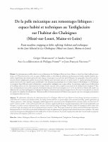 Research paper thumbnail of De la pelle mécanique aux remontages lithiques : espace habité et techniques au Tardiglaciaire sur l’habitat des Chaloignes (Mozé-sur-Louet, Maine-et-Loire)