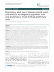 Determining adult type 2 diabetes-related health care needs in an indigenous population from rural Guatemala: a mixed-methods preliminary study Cover Page