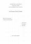 Echi di Gaudenzio Ferrari in Valtellina, tesi di Laurea di Erica Bernardi, a.a. 2006/2007, Università degli Studi di Milano Cover Page