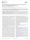 Research paper thumbnail of The First Papillomavirus Isolated from Vulpes vulpes (VvulPV1) Is Basal to the Gammapapillomavirus Genus