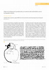 Research paper thumbnail of Viaje en el tiempo por la producción y el comercio del aceite bético con la iconografía romana