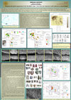 Research paper thumbnail of Function and spatial organization of the Mesolithic camps. Clues from sites Sąsieczno 4 and Ludowice 6, central Poland